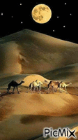noite no deserto - GIF animado gratis