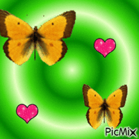 Papillon et cœurs - GIF animado gratis