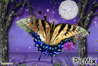 papillon de nuit - GIF animé gratuit