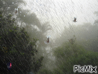 lluvias en La Pradera - GIF animé gratuit
