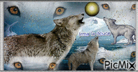Meute de loups animovaný GIF