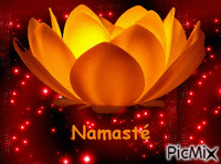 Namasté - Darmowy animowany GIF
