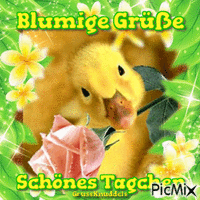 Blumige Grüße - Бесплатный анимированный гифка