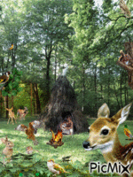 foret 动画 GIF
