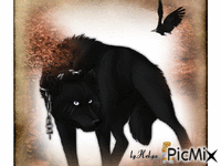 wolves - Bezmaksas animēts GIF