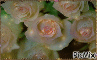 white roses - GIF animé gratuit