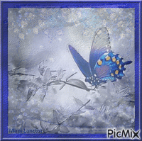papillon GIF animé