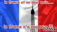 la france le 13 - Bezmaksas animēts GIF