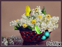kwiaty i motyle - GIF animé gratuit
