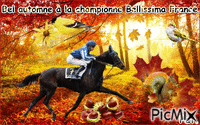 La championne Bellissima France. 动画 GIF