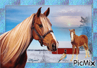 cheval et poulain animēts GIF