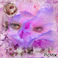 Rose et violet