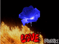 égő szerelem.. - Zdarma animovaný GIF