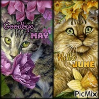 Goodbye May Hello June-RM-06-03-23 - Бесплатный анимированный гифка