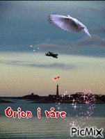 orion - Zdarma animovaný GIF
