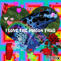Poison Dart Frog - Ilmainen animoitu GIF