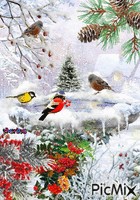 Birds in Winter - Zdarma animovaný GIF