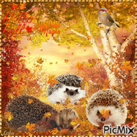 Hello Fall. Autumn Magic. Hedgehog family