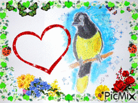 le géai acaché (oiseau) dessiné par Gino Gibilaro avec coccinelles,papillons,ceours et fleurs animovaný GIF