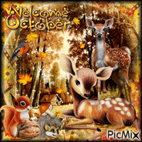 Welcome October animovaný GIF