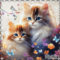 chats avec des fleurs - GIF animé gratuit