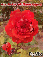 Rosengruß am Mittwoch - GIF animate gratis