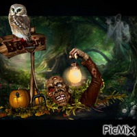 Owl in a haunted swamp animovaný GIF