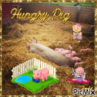 Hungry Pig Animiertes GIF