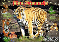 La Famille Tigre Animated GIF