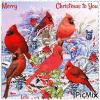 Cardinal birds. Merry Christmas to You - Бесплатни анимирани ГИФ