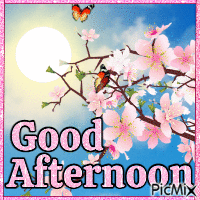 Good Afternoon - Nemokamas animacinis gif