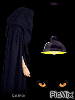 Black Cat GIF animado