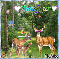Bonjour forestier - Free animated GIF