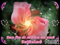 Rosas Animated GIF