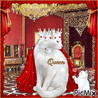 Queen Kitty-RM-02-17-23 анимированный гифка