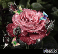 Blumen - GIF animate gratis