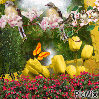 Remplie d'oiseaux Animated GIF