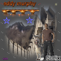 la muraille de chine sur la pont de paris avec eddy murphy GIF animé