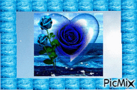 la rose bleu - GIF animé gratuit