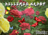 Kellemes napot - Δωρεάν κινούμενο GIF