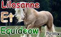 Equideow - Free animated GIF