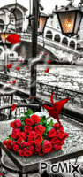 Romance - Bezmaksas animēts GIF