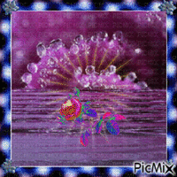 fialový sen - GIF animado grátis