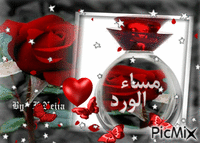 مساء الورد - Darmowy animowany GIF