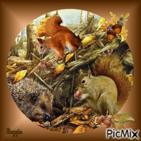 Squirrels in autumn - GIF animé gratuit