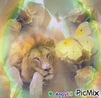 leone con rose animovaný GIF