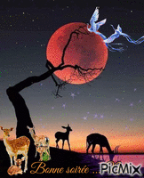 Bonne soirée " lune " - Ingyenes animált GIF