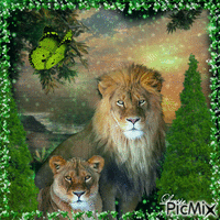Les Lions ♥♥♥ geanimeerde GIF
