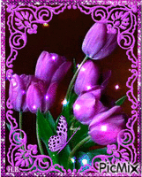 Lilac tullips. - GIF animé gratuit