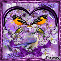 FINE BIRDS ARE IN A PURPLE HEART, BEHIND ARE FLASHING FLOWERWSAND PURPLETERE IS FLASHING LIGHTS, AND A PRETTY PURPLE BOW UNGER THE HGEART, AND A PURPLE FLASHING FRAME. GIF animé